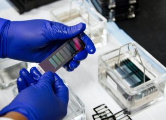 Uncovering the Mystery Behind Computational Biology