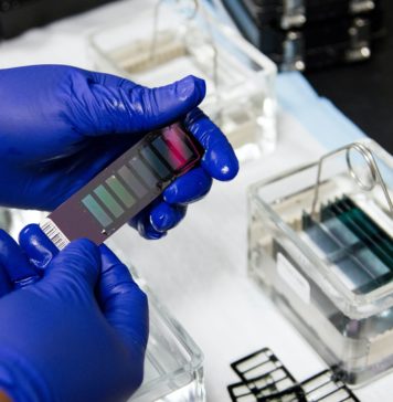 Uncovering the Mystery Behind Computational Biology