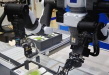 A Guest Commentary on the Future Growth of Artificial Intelligence